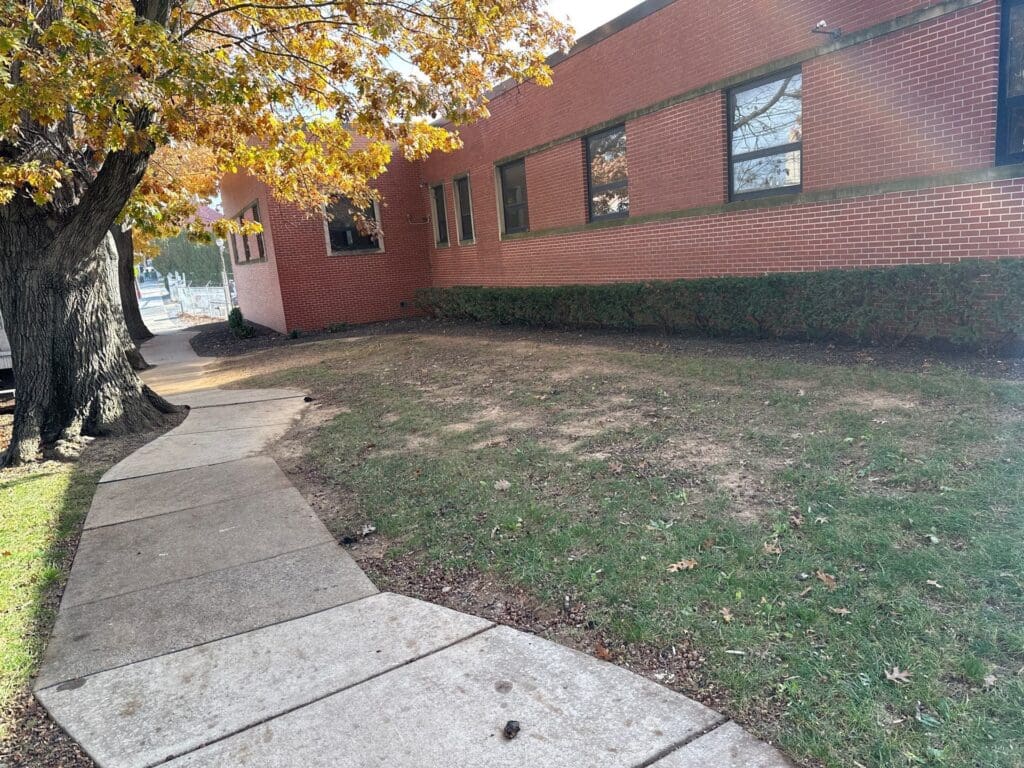 a yard clean of leaves