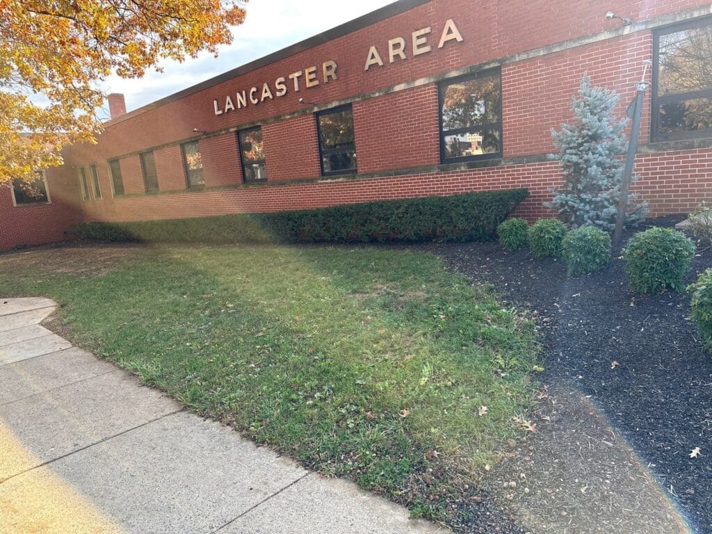 a yard recently cleaned of leaves