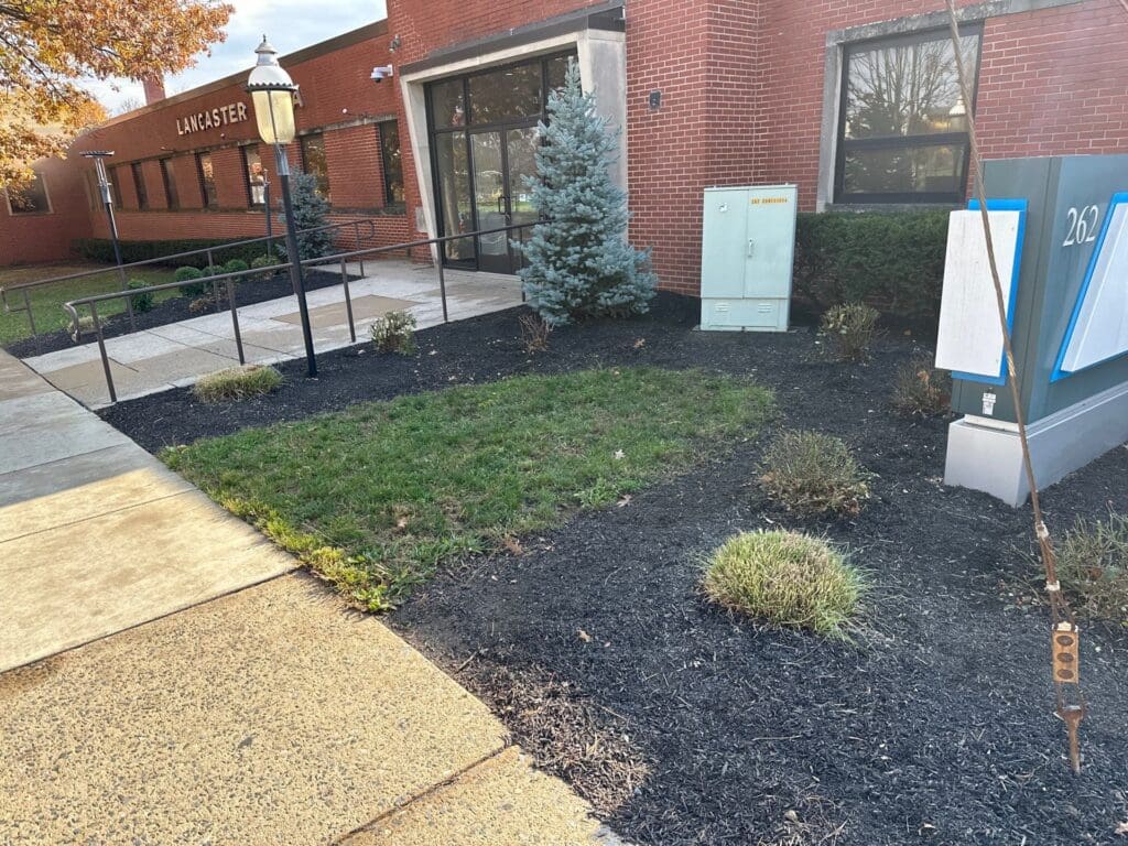 an after image of leaves removed from a garden